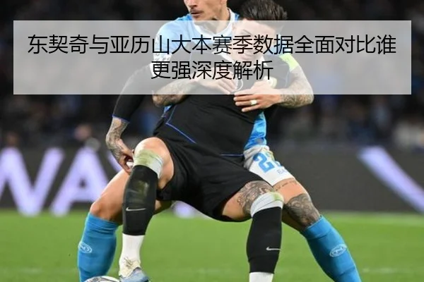 东契奇与亚历山大本赛季数据全面对比谁更强深度解析
